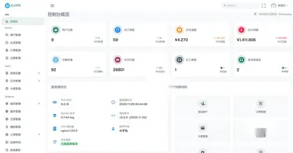 迅风DNS Pro二级域名分发V2.3.3系统源码