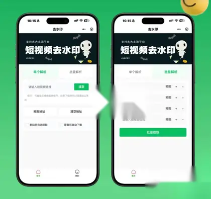 2026最新去水印小程序源码 v1.6.5 带流量主