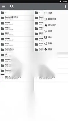 NP管理器 3.1.15破解版，类似mt管理器的安卓逆向软件