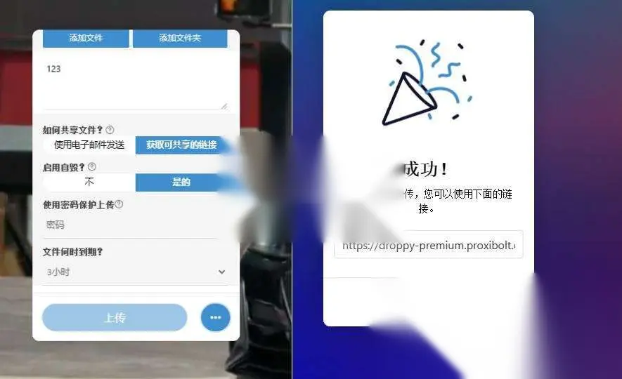 图片[2]